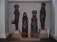IMG 1558