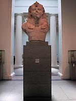 IMG 1561