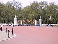 IMG 1489