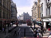 IMG 1480