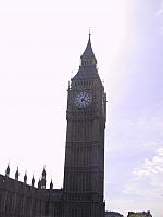 IMG 1513