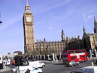 IMG 1516
