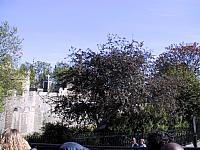 IMG 1519