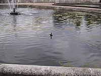 IMG 1467