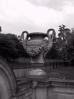 IMG 1469