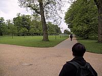 IMG 1474