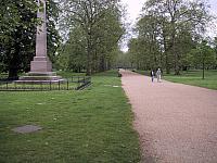 IMG 1475