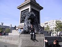 IMG 1542
