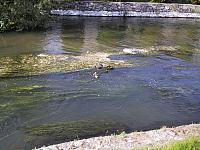 IMG 1697