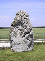 IMG 1692