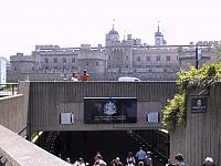 IMG 1579