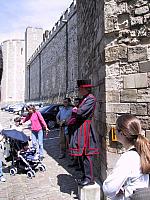 IMG 1587
