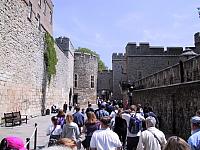IMG 1591