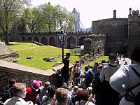 IMG 1594