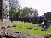 IMG 1595