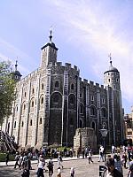 IMG 1599