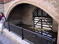 IMG 1600