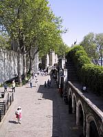IMG 1601