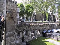 IMG 1608