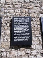 IMG 1612