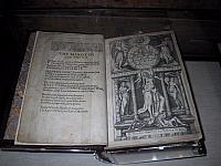 IMG 1615
