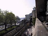 IMG 1617