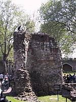 IMG 1618