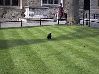 IMG 1627