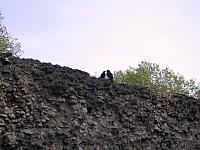IMG 1629