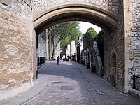 IMG 1630