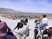 IMG 0001
