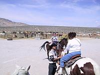 IMG 0002