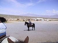 IMG 0003