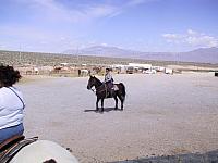 IMG 0004