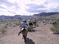 IMG 0007