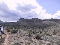 IMG 0015