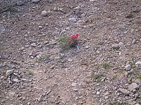 IMG 0018
