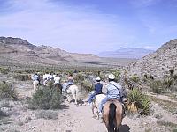 IMG 0021
