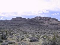 IMG 0022