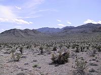 IMG 0023
