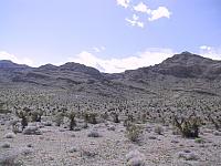 IMG 0024