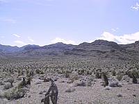 IMG 0025