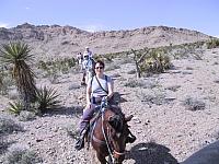 IMG 0027