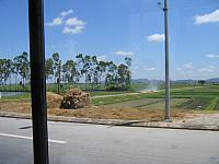 IMG 3648