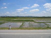 IMG 3652