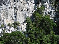 IMG 3687