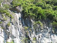 IMG 3688