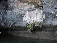 IMG 3720