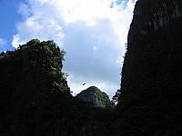 IMG 3723