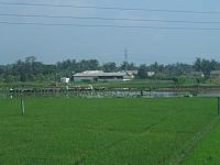 Vietnam 051